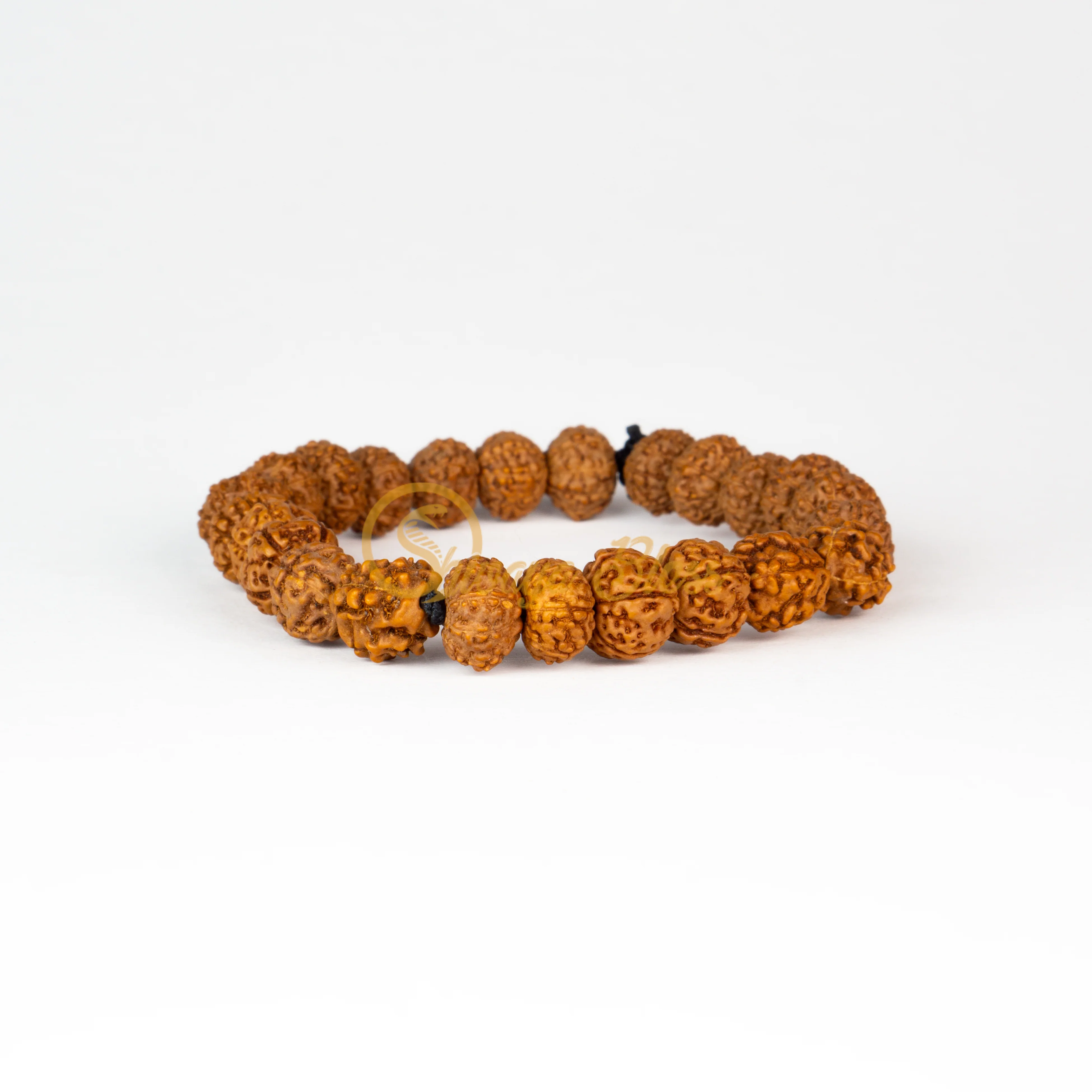 5 Face Rudraksha